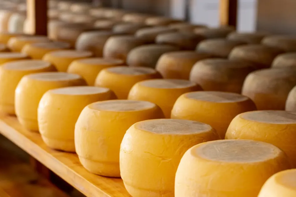 fromages