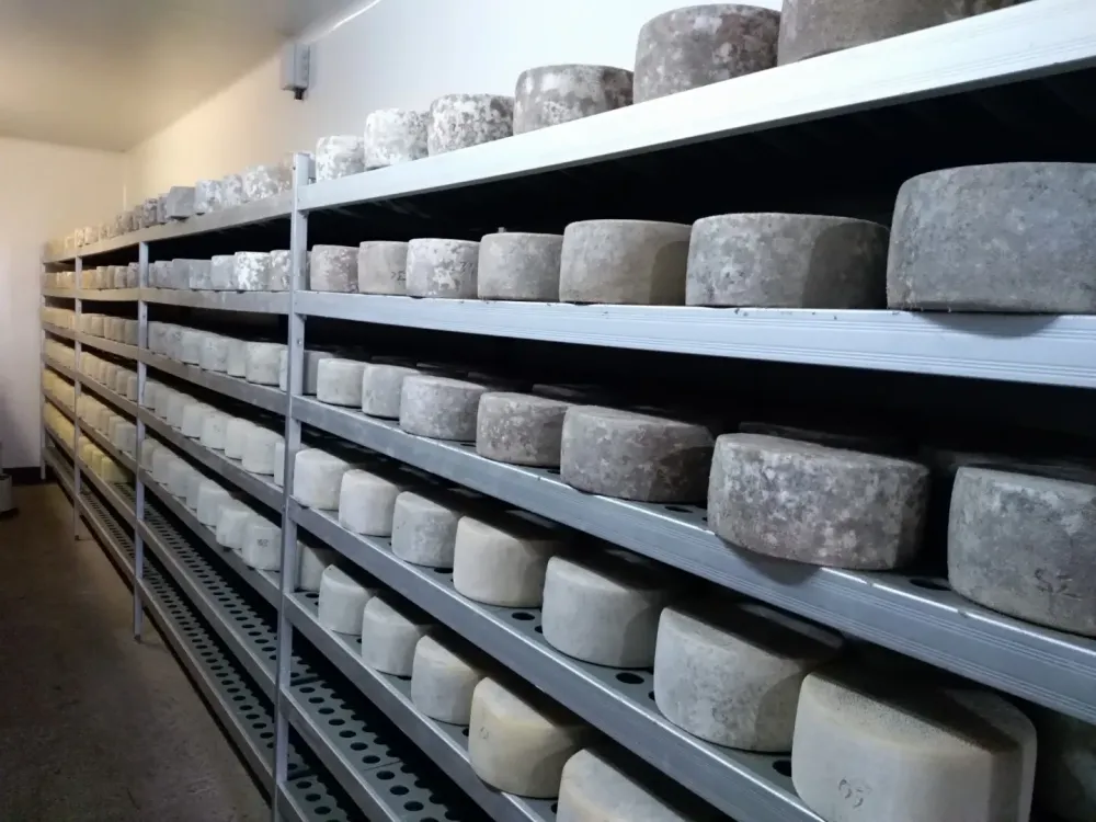 plateau de fromage