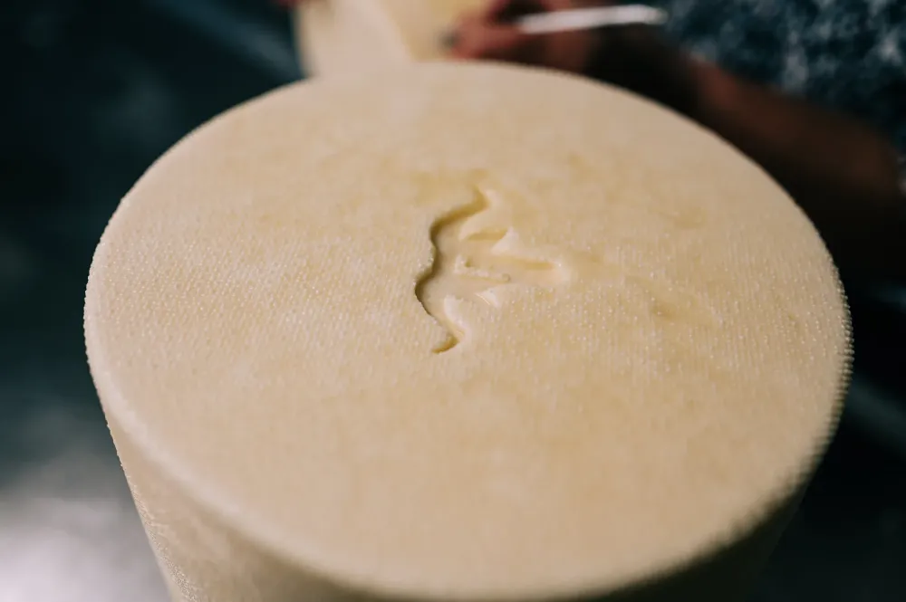 Notre fromage