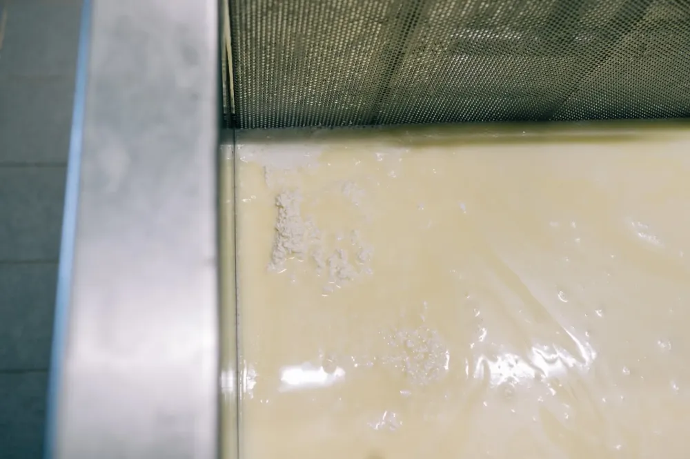 tape création fromage (8)
