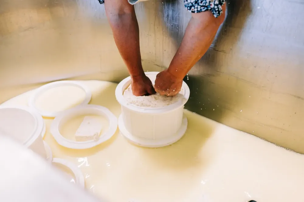 Fromage fermier près de Hosta