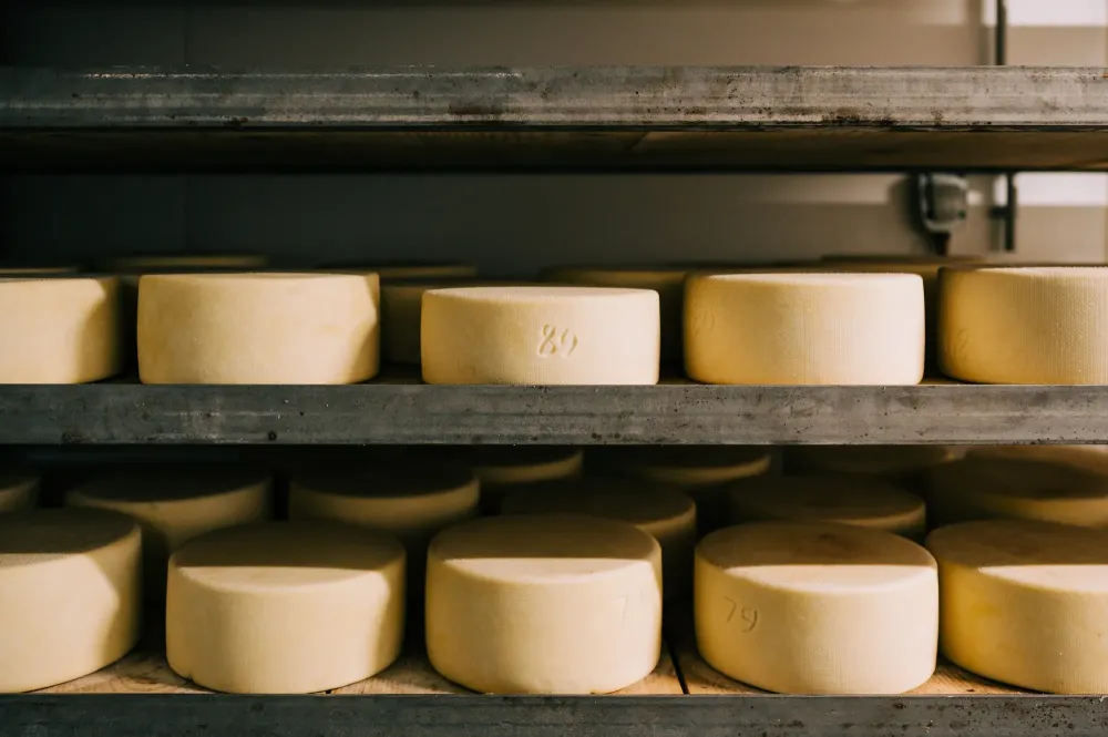 annotation fromage